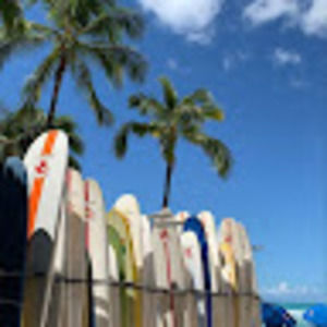 Meet your Posher, Lily